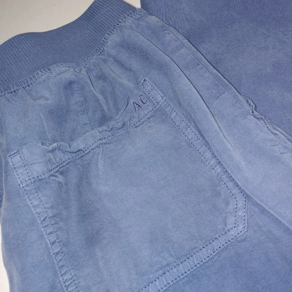 American Eagle Cargo Cuffed Pull On Joggers size M Blue